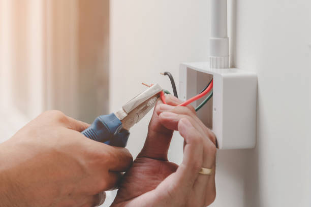 Best Electrical Panel Upgrades  in Troy, IL